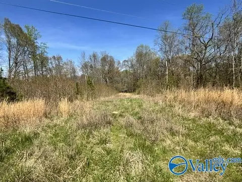 19 Acres County Road 148, Stevenson, AL 35772