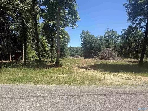 16 Ac Bishop Mountain Rd, Grant, AL 35747