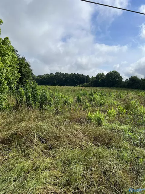 275 Highland Dr, Arab, AL 35016