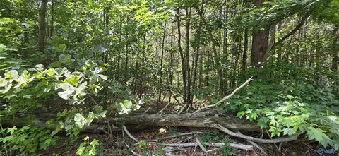 4 55ac County Road 730, Henagar, AL 35978