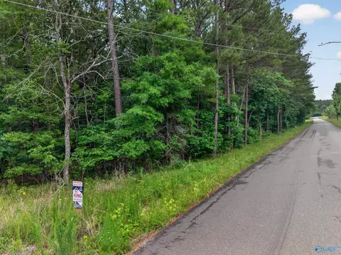 2 Lots Christopher Ave, Southside, AL 35907