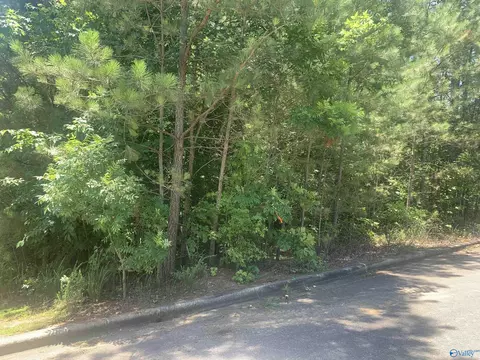 LOT 33 Cade Circle #33, Leesburg, AL 35983