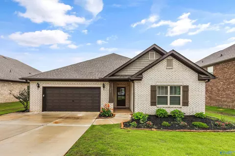 227 Paladin St, New Market, AL 35761