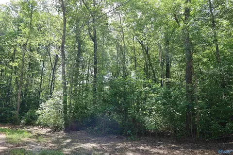 1 47 Acres Libby Ln, Mentone, AL 35984