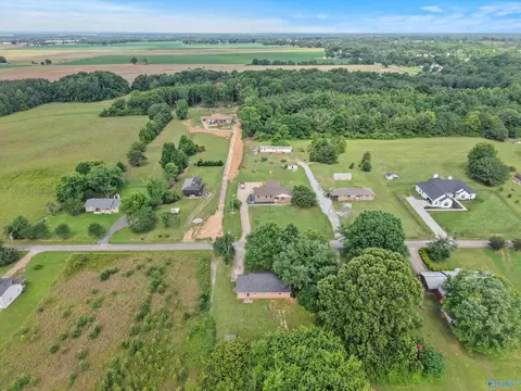 View/Area - 10810 Griffith Rd, Tanner, AL 35671 photo 1 of 3