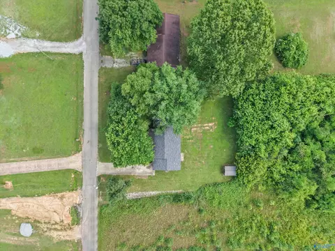 View/Area - 10810 Griffith Rd, Tanner, AL 35671 photo 2 of 3