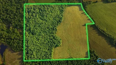 40 84 County Road 668, Henagar, AL 35978