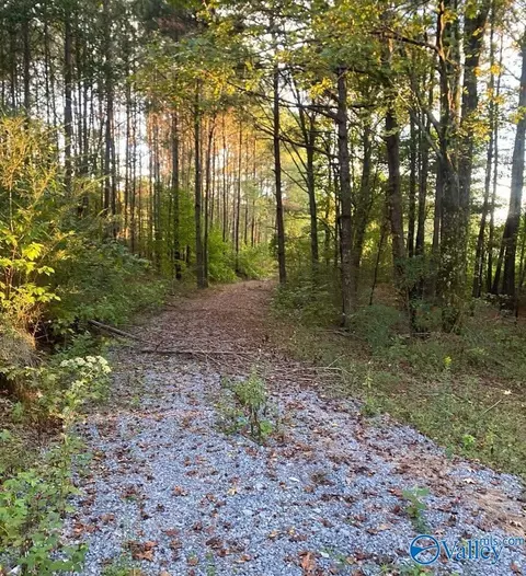 3 7 Acres County Highway 10, Blountsville, AL 35031