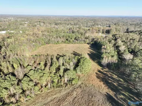 21 Acres - Pleasant Hill Church Rd, Boaz, AL 35956