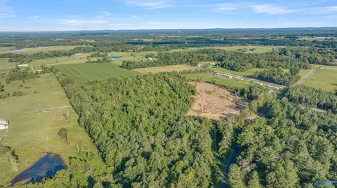 27 5 County Road 51, Dutton, AL 35744 photo 3