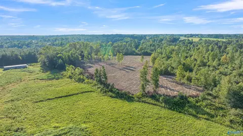 27 5 County Road 51, Dutton, AL 35744 photo 6