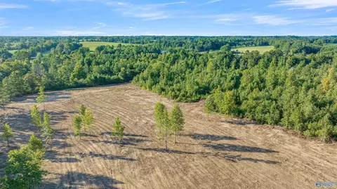 27 5 County Road 51, Dutton, AL 35744 photo 7