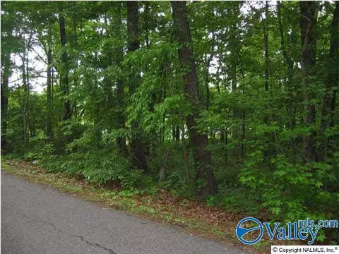 01 8th Ave, Arab, AL 35016