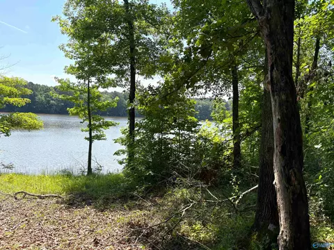 62 Acres County Road 628, Cedar Bluff, AL 35959