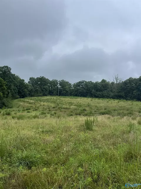 2403 Hog Jaw Rd, Arab, AL 35016