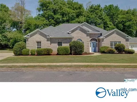 117 Brokenrein Dr, Meridianville, AL 35759