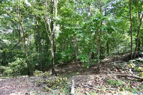 lot67 Prince Cir, Southside, AL 35907