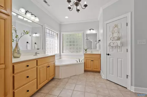 Bath - 116 Compass Point Dr, Madison, AL 35758 photo 3 of 8