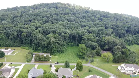 25 27 Ac Sorter Rd, Guntersville, AL 35976