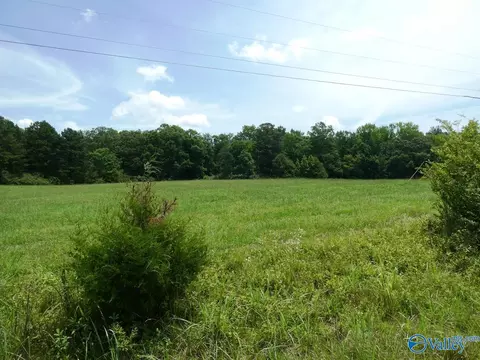 9 2 Ac County Road 4006, Crane Hill, AL 35053