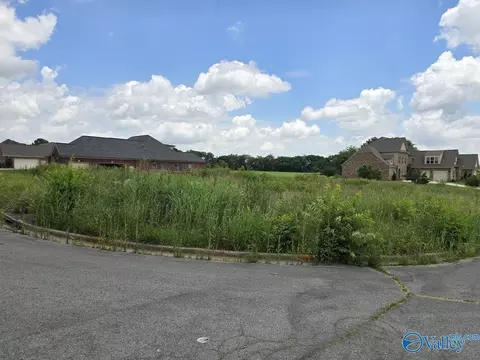 lot24 Brigadoon Dr, Madison, AL 35757