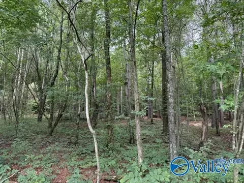 45 County Road 458, Collinsville, AL 35961