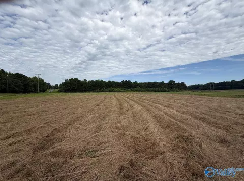 5 5 Ac Pleasant Hill Rd, Guntersville, AL 36976