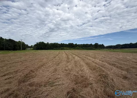 7 80 Ac Pleasant Hill Rd, Guntersville, AL 35976
