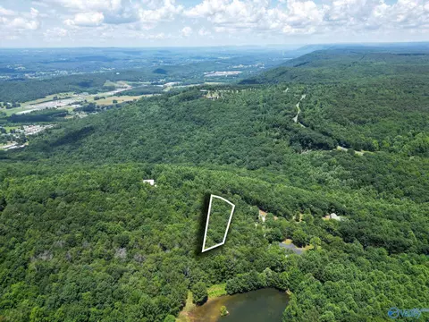 lot9 County Road 166, Fort Payne, AL 35967