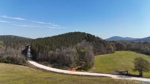 0257 County Road 175, Piedmont, AL 36272