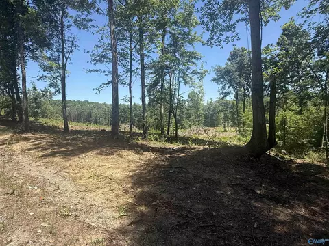 10 Ac Bishop Mountain Rd, Grant, AL 35747