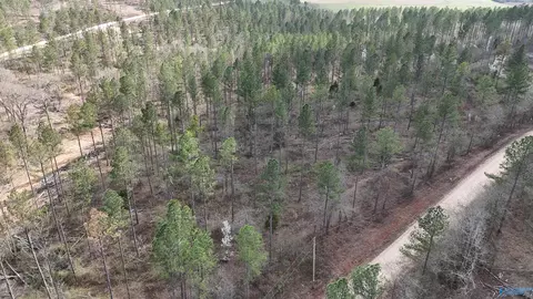 011 County Road 176, Piedmont, AL 36272