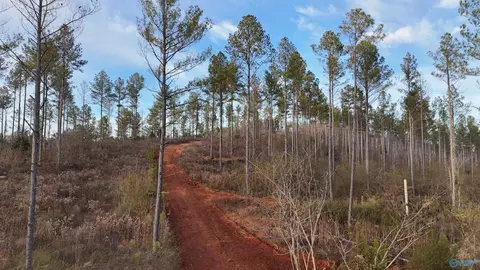 005 County Road 175, Piedmont, AL 36272