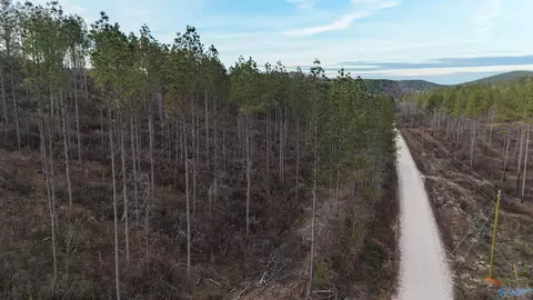 004 County Road 175, Piedmont, AL 36272