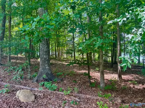 890 B County Road 906, Cedar Bluff, AL 35959 photo 20