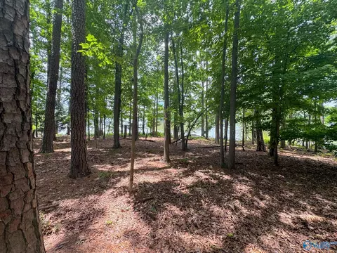 890 B County Road 906, Cedar Bluff, AL 35959 photo 28
