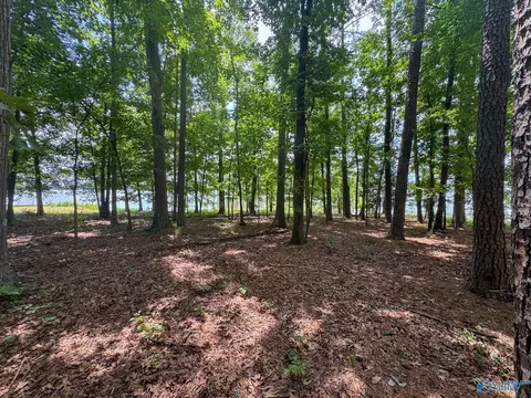 890 B County Road 906, Cedar Bluff, AL 35959 photo 27