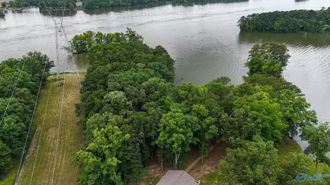 890 B County Road 906, Cedar Bluff, AL 35959 photo 6