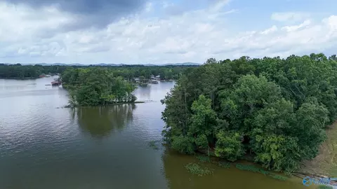 890 B County Road 906, Cedar Bluff, AL 35959 photo 16