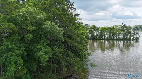 890 B County Road 906, Cedar Bluff, AL 35959 photo 8