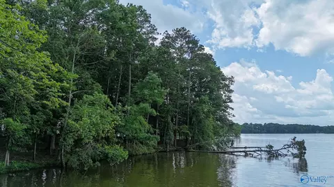 890 B County Road 906, Cedar Bluff, AL 35959 photo 19
