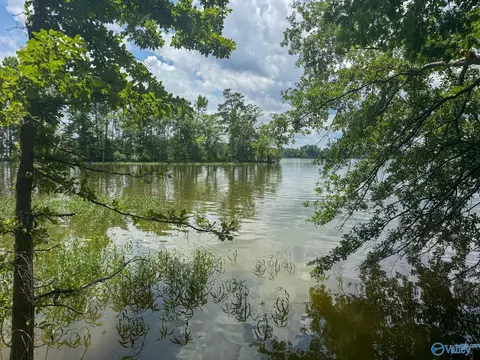890 B County Road 906, Cedar Bluff, AL 35959 photo 25
