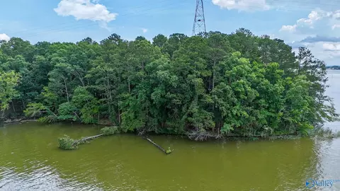 890 B County Road 906, Cedar Bluff, AL 35959 photo 10
