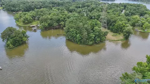 890 B County Road 906, Cedar Bluff, AL 35959 photo 4