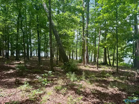 890 B County Road 906, Cedar Bluff, AL 35959 photo 21