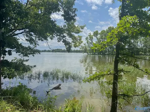 890 B County Road 906, Cedar Bluff, AL 35959 photo 26