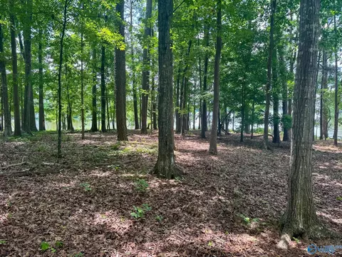 890 B County Road 906, Cedar Bluff, AL 35959 photo 22