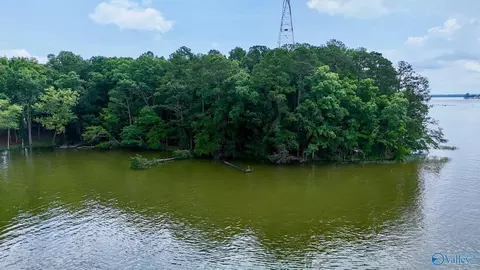 890 B County Road 906, Cedar Bluff, AL 35959 photo 11