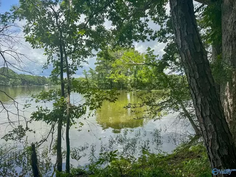 890 B County Road 906, Cedar Bluff, AL 35959 photo 24