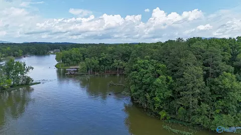 890 B County Road 906, Cedar Bluff, AL 35959 photo 17